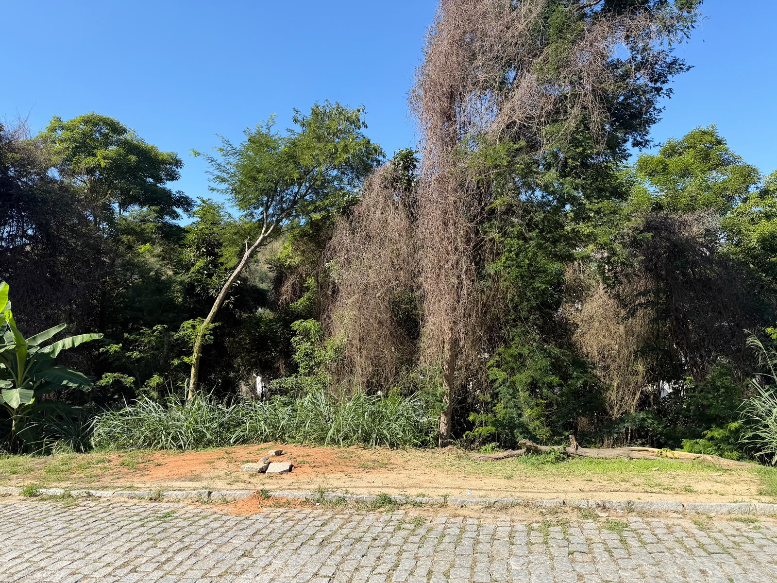 Rua de acesso ao lote real